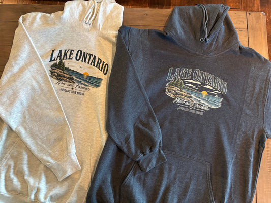 Lake Ontario Now and Forever Vintage Unisex Hoodie