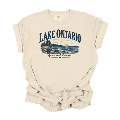 Lake Ontario Now and Forever vintage unisex T-shirt