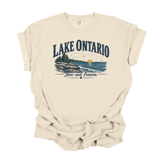 Lake Ontario Now and Forever vintage unisex T-shirt