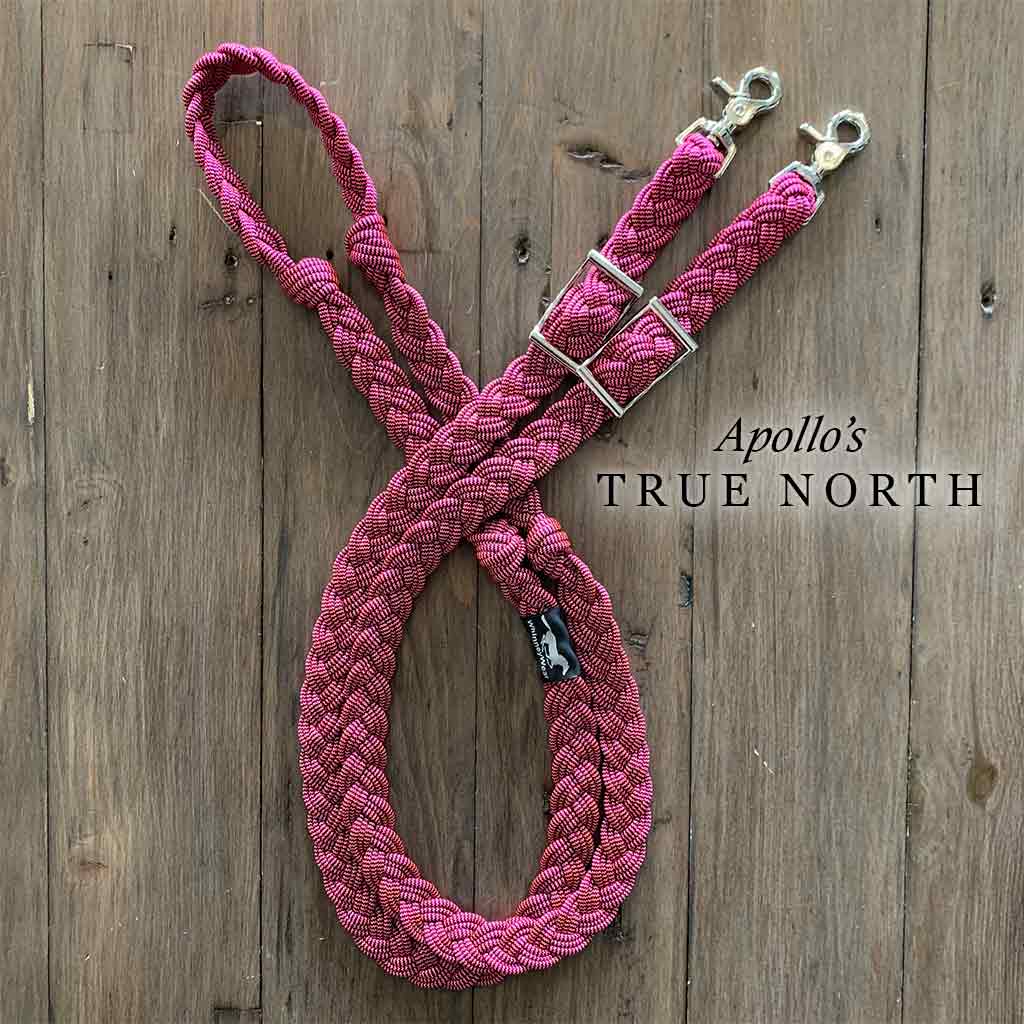{{ western_tshirt }} - {{ apollos_true_north }} {{ western_hoodie }} {{ horse_hoodie }} {{ western_tack }} {{ patterned_latigo }} {{ nature_hoodie }} {{ canadian_hoodies }}
