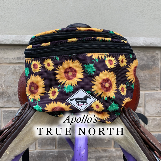 {{ western_tshirt }} - {{ apollos_true_north }} {{ western_hoodie }} {{ horse_hoodie }} {{ western_tack }} {{ patterned_latigo }} {{ nature_hoodie }} {{ canadian_hoodies }}